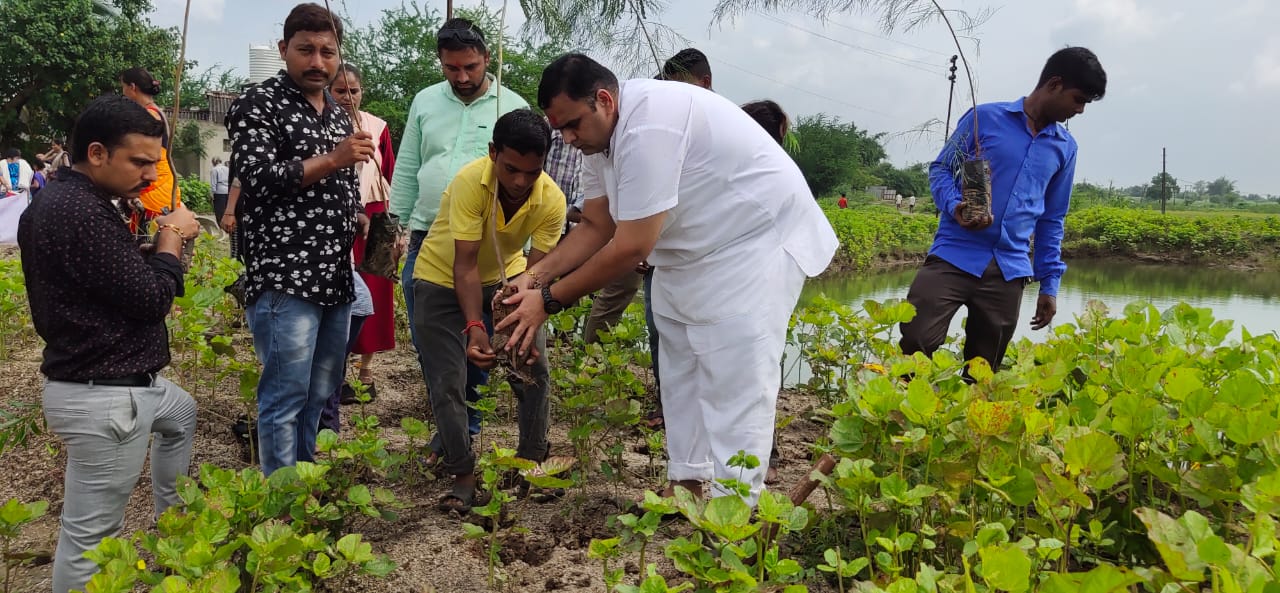 નમામિ દેવી નર્મદે મહોત્સવ
