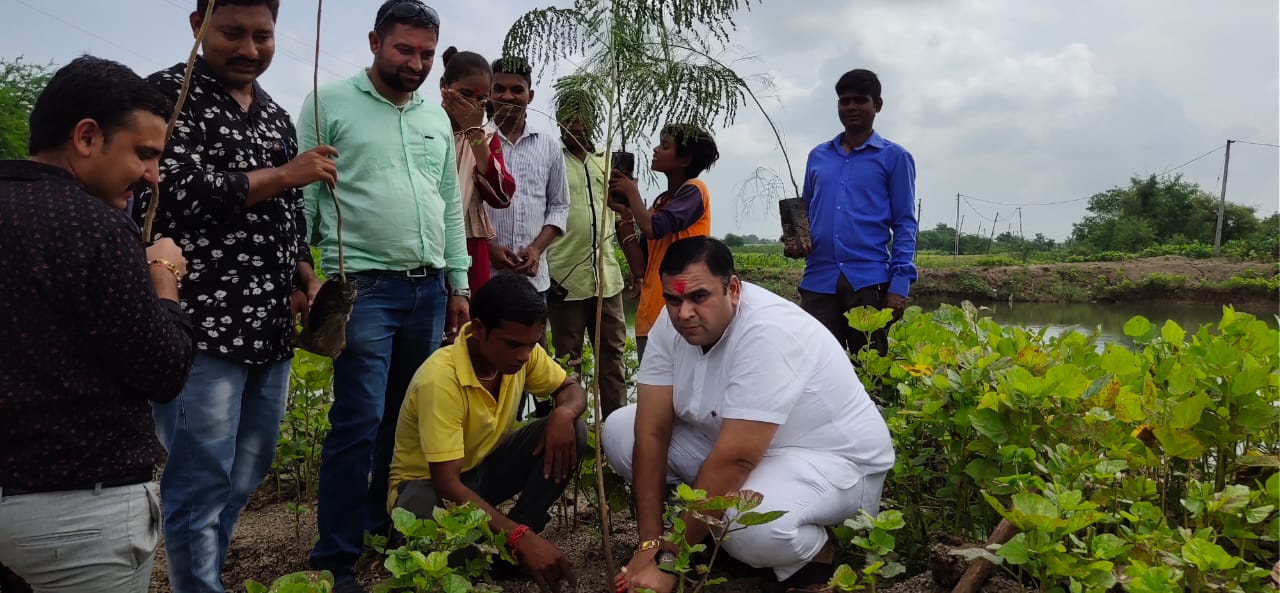 નમામિ દેવી નર્મદે મહોત્સવ